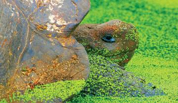 Ecuador & Galapagos Island Hopping - 12 days Tour