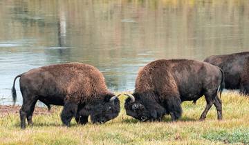 Glacier National Park & the Rockies - 7 days