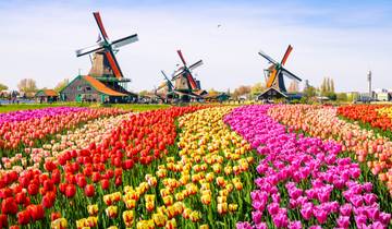 Circuito Primavera en Holanda y Bélgica - Regreso a Ámsterdam (2025)