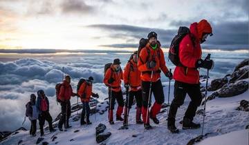 7-daagse Kilimanjaro Wandelen Via Machame Route Ervaring