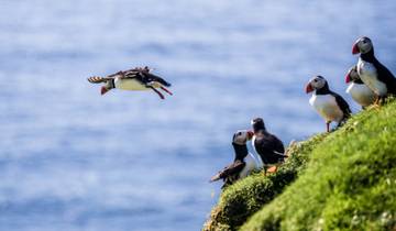 Die Musik & Natur von Nordisland Rundreise