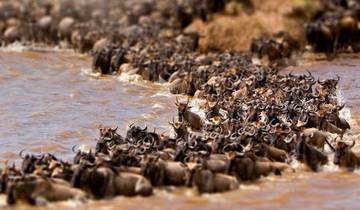 4 Days Serengeti Migration Safari-Mara River Crossing Tour