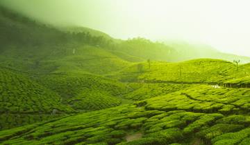 Kerala\'s Monsoon Magic with 4 Star Hotels Tour