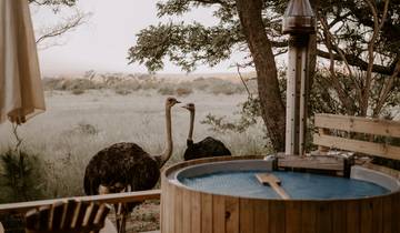 La liste des choses à faire en Afrique du Sud : City Vibes & Glamping Nights