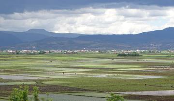 ANDASIBE WITH THE SOUTH TO EXPERIENCE MADAGASCAR FROM EVERY ANGLE Tour