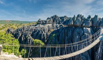 Western wonder (Baobab + Kirindy + Tsingy discovery) & Lemurs park visit