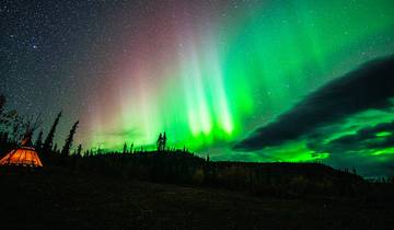 Epic Aurora Viewing ( Yukon Wildlife Viewing)