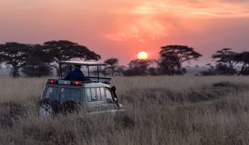 Safari en montgolfière de 4 jours dans le Serengeti circuit