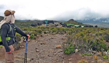 Climb Mt.Kilimanjaro via Umbwe Route Tour