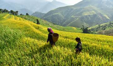 Aventure enchanteresse de 13 jours au Vietnam