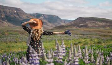 Círculo Exprés de Islandia - 6 días en coche