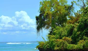 3 Days in Bali, incl. Nusa Penida and Kuta