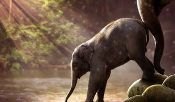5 Days in Bangkok including Elephant Sanctuary & Erawan Waterfall , Grand Palace with 2 temples