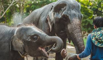 5 Days in Bangkok including Elephant Sanctuary & Erawan Waterfall , Grand Palace with 2 temples