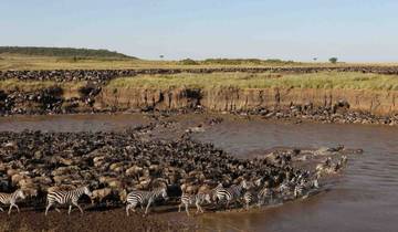Safari d\'aventure de 4 jours dans le Tarangire, le Serengeti et le Ngorongoro circuit
