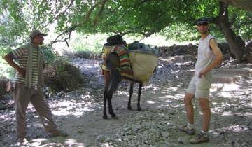 12-Day Morocco Tour from Casablanca Tour