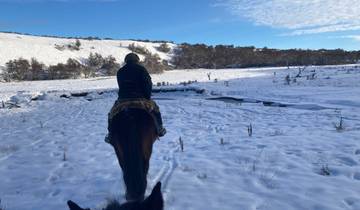 Amazing Winter Patagonia & Torres del Paine Tour