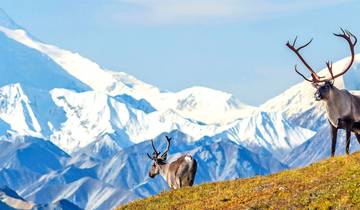 Grand Canada, Alaska & Arctic Circle