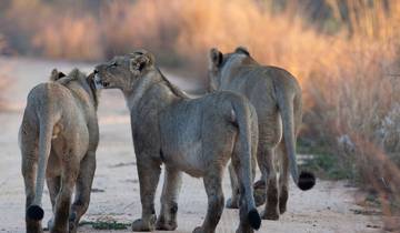 Lifetime Experience in Nyerere National Park Tour