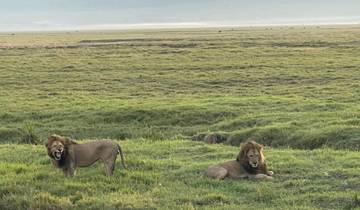 7-daagse avontuurlijke safari met de Big Five in Afrika-rondreis