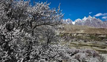 Circuito Hunza Pakistán Excursión a los Cerezos en Flor