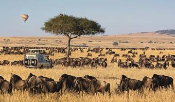 10 jours Masai Mara, Lac Nakuru, Manyara, Ngorongoro, Serengeti et Tarangire