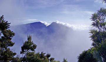Get to know La Reunion