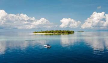 EXPÉDITION EN YACHT ENTRE LES ÎLES AUX ÉPICES ET LA FLORE