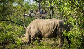 Kruger National Park And Panorama Hotel Safari Tour