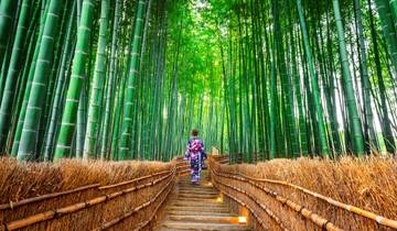 Circuit - Japon Best of Japan