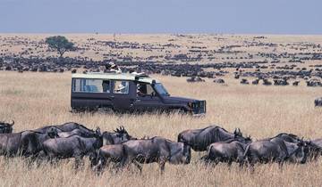 16 Tage Kenia & Tansania Wildlife Safari & Kilimandscharo-Besteigung Rundreise