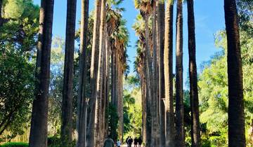 Circuito Lo Mejor de Marruecos desde Marrakech