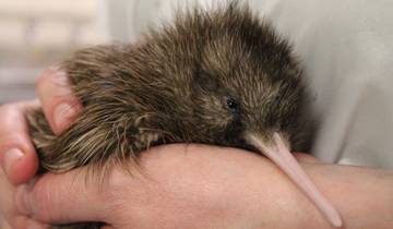 New Zealand
