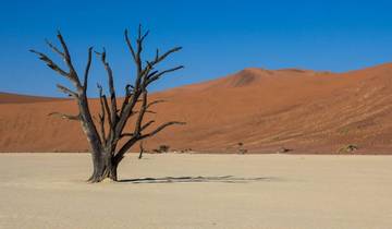 Essential of 6 Days Dunes & Wildlife Safari