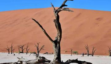 Aventura Clásica de Swakopmund y Sossusvlei con Alojamiento