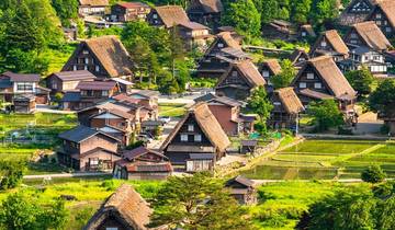 Circuito 【Japón】Paquete turístico clásico de 12 días por Kanto-Tateyama Kurobe,el pueblo de Gassho, el monte Fuji y Nagoya (Estacional)