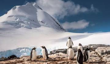 Antarctic Peninsula Beyond the Polar Circle