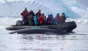 Antarctic Peninsula Beyond the Polar Circle