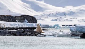 GREAT NATURE AND WILDLIFE EXPEDITION AROUND SPITZBERGEN, max. 12 passengers on board