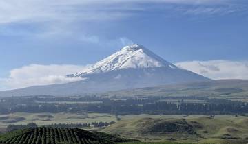 Journée entière d'exploration du Cotopaxi à cheval - Groupe partagé