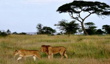 6-Day Exploring the Golden Wonders of Northern Tanzania