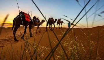 Circuito Excursión Privada Exclusiva de 2 Días al Desierto de Zagora desde Marrakech