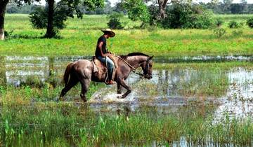 La faune du Pantanal et de l'Amazonie