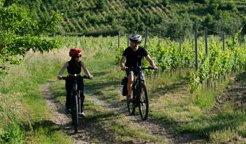 Green Tour in the Tuscan hills: e-biking among nature, art & typical products