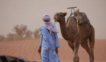 Sahara-Trekking The Best Adventure (Walk with nomads and camels) Tour