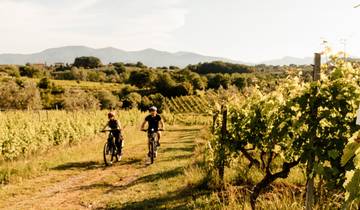 Green Tour in the Tuscan hills: e-biking among nature, art & typical products