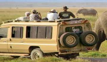 BEST TANZANIA SHARED SAFARI & KIKULETWA HOTSPRING ADVENTURES