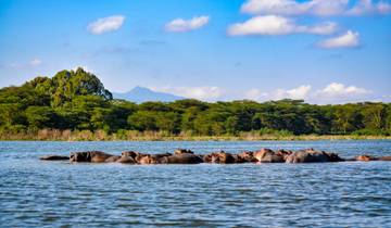 Las Llanuras de África Safari por la Fauna de Kenia (de Nairobi a Amboseli) (2025)