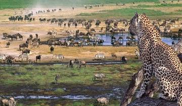 4 DAYS NGORONGORO & LAKE MANYARA SAFARI TANZANIA ADVENTURES