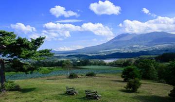 Nature expedition to the endemic species of Japan